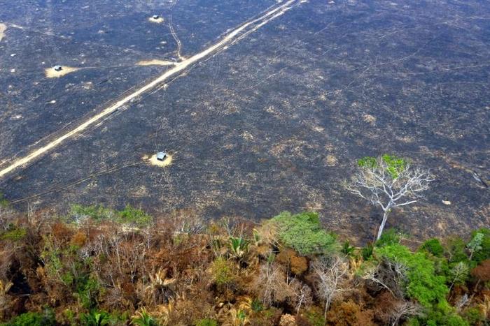 Aerial view of burnt areas of the Amazon rainforest near Porto Velho, in Rondonia state