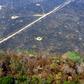 Aerial view of burnt areas of the Amazon rainforest near Porto Velho, in Rondonia state