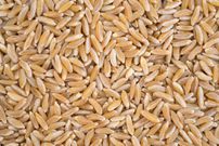 19 Complex Carbs You Should Def Incorporate Into Your Diet