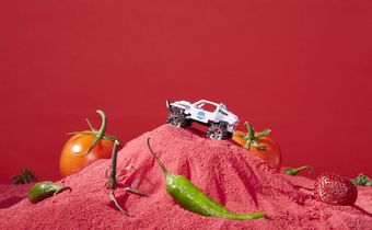 NASA Practices Space Gardening to Pack Lunchboxes for Mars
