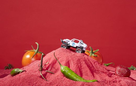 NASA Practices Space Gardening to Pack Lunchboxes for Mars