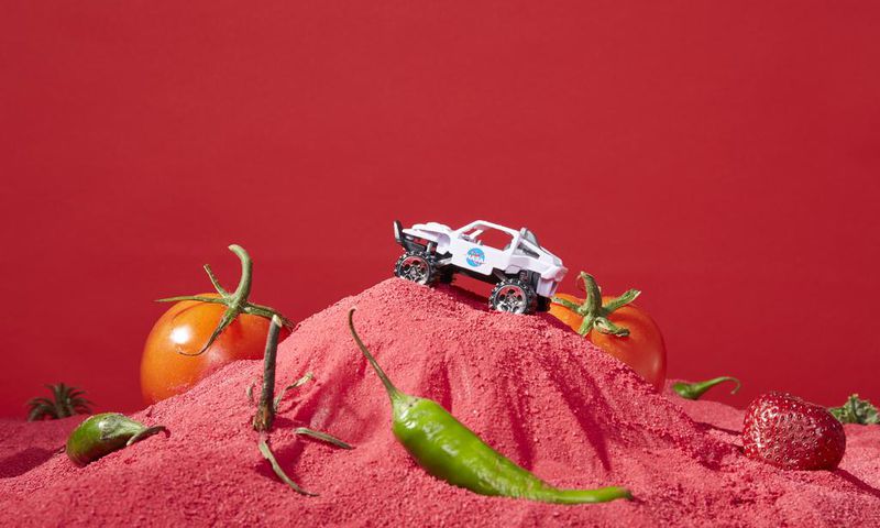 NASA Practices Space Gardening to Pack Lunchboxes for Mars