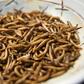 Meal worms are one of the ingredients used by Gourmet Grubb