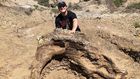 Triceratops Skull, 65 Million Years Old, Unearthed by College Student, 23