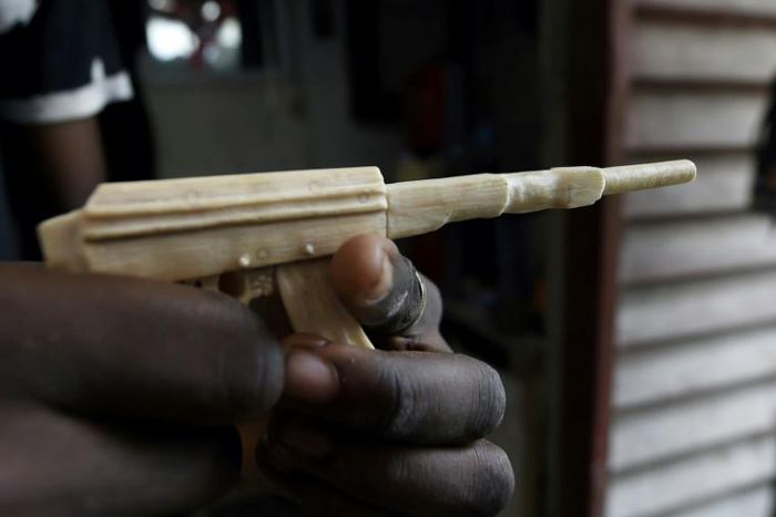 For city businesses wildlife may not be their first concern, but preserving the jungle and keeping elephants safe is an issue for flood-hit Lagos