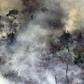 Aerial picture showing smoke from a two-kilometre-long stretch of fire billowing from the Amazon rainforest about 65 km from Porto Velho, in northern Brazil, on August 23, 2019