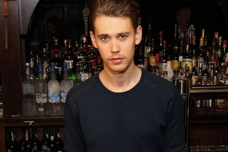 Meet Vanessa Hudgens Boyfriend Austin Butler