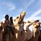 Humps on the stump: Camel-riding supporters attend a UPR rally in Chinguetti, an ancient Berber trading centre in central Mauritania