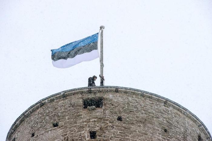 Estonia is one of five newcomers to join the UN Security Council in January 2020 for a two-year stint