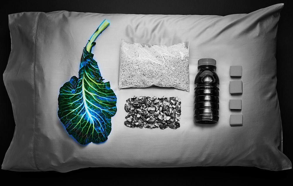 Collard Greens Will Help You Sleep