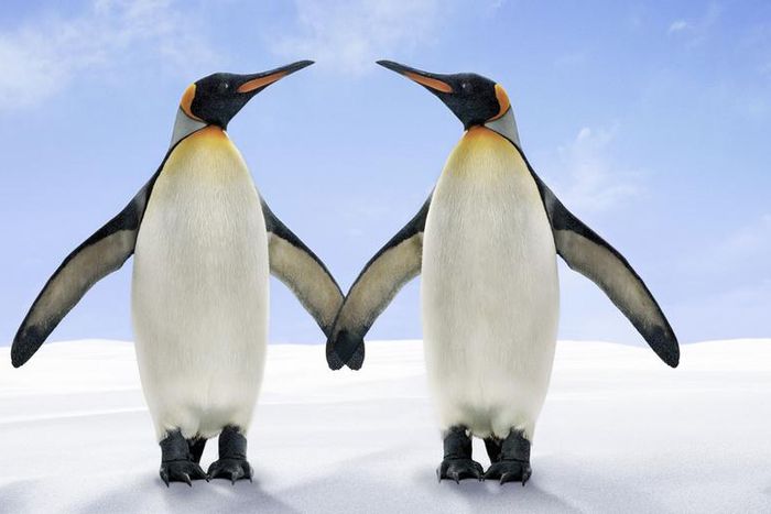 The Truth About Whether Soulmates Actually Exist