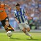 Sheffield Wednesday forward Fernando Forestieri (right)
