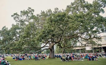 After Decades of Music, Tanglewood Talks