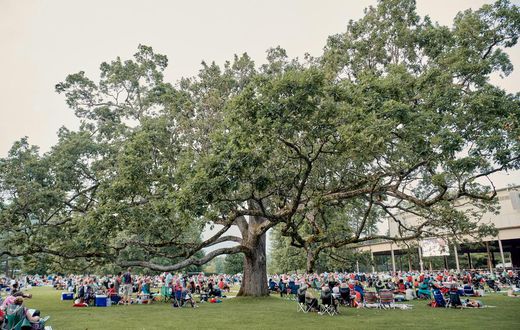 After Decades of Music, Tanglewood Talks