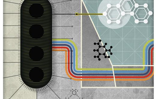 Organically Wired Through Bacteria