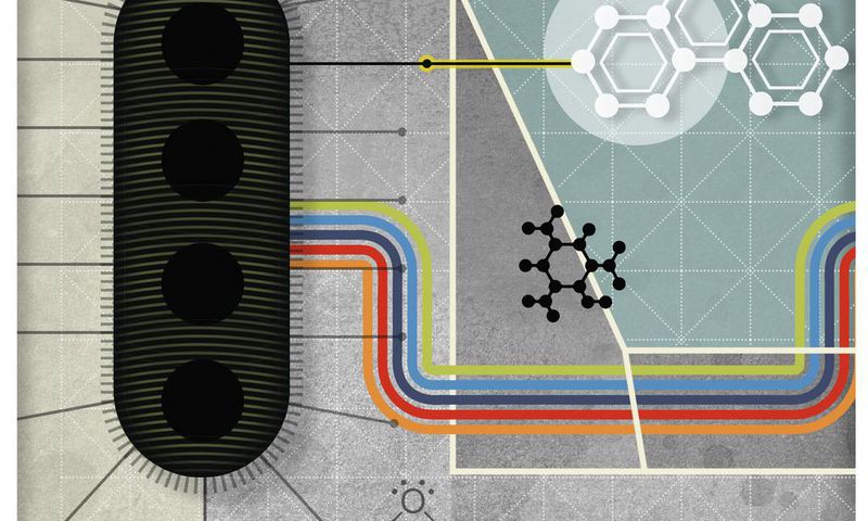 Organically Wired Through Bacteria