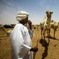 Not far from Sudan's capital Khartoum, dozens of camel traders are oblivious to the country's biggest political upheaval in decades