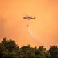 Over 200 firefighters were fighting the blaze backed by 75 fire trucks, five water-bombing helicopters and six planes