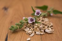 The 12 Best Natural Remedies For A Cough, According To Doctors