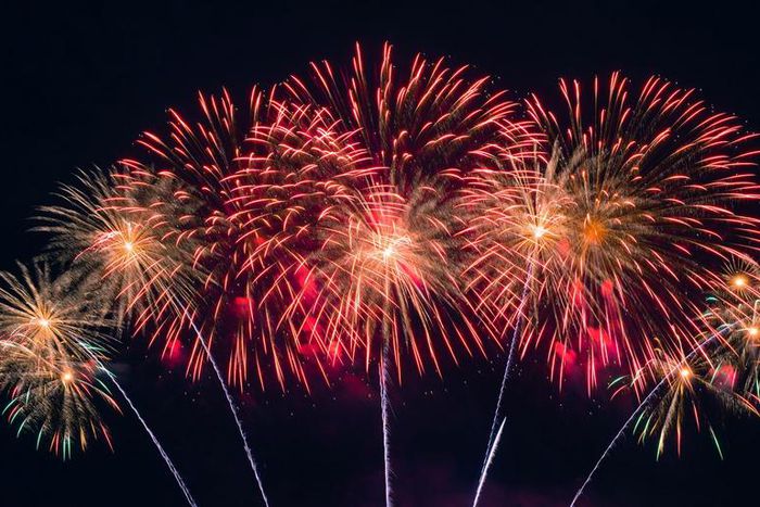 Dr. Pimple Popper Shares 'Fireworks' Video