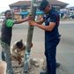 Police officer Lance corporal Simon Agbeko repairs broken traffic light at Odorkor