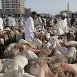 Sudanese Muslims buy livestock at a market in Sudan's capital Khartoum on August 11, 2019, as they mark their first Eid Al-Adha feast without Omar al-Bashir as a ruler