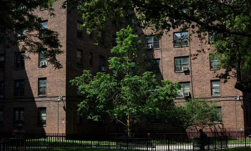 'Lighting Money on Fire' as Mold and Rats Persist in New York Public Housing