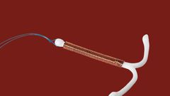 Can You Get Pregnant With An IUD?