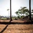 Government forces have been unable to prevent the inter-ethnic violence in the province