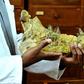 The 23-million-year-old bones of the newly-discovered giant, Simbakubwa kutokaafrika, had been left for nearly 40 years in a drawer