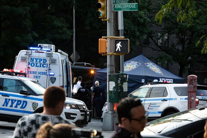 Twin Infants Found Dead in Car in Bronx After Father Left Them, Police Say