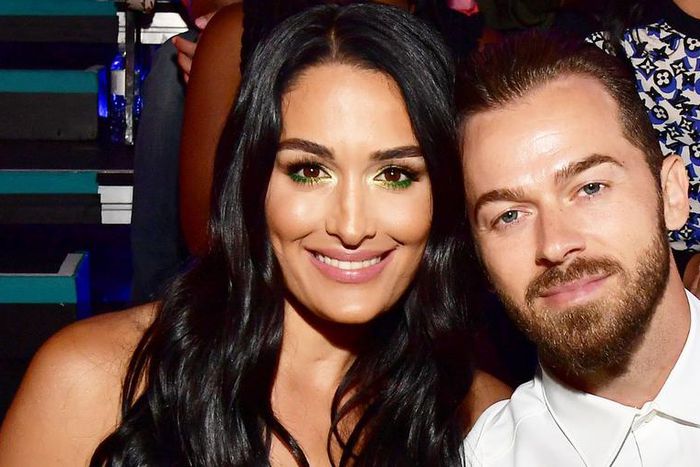 Who Is Nickki Bella Dating? Meet Artem Chigvintsev