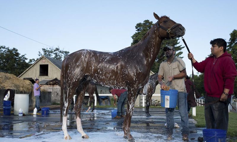 'She Always Looked Out for Us': the Glamorous Patron of Stablehands