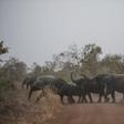 The decision met with strong opposition from Zimbabwe in particular, which tried in vain to block the vote