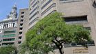 Jeffrey Epstein Death: 2 Employees Slept Through Checks and Falsified Records