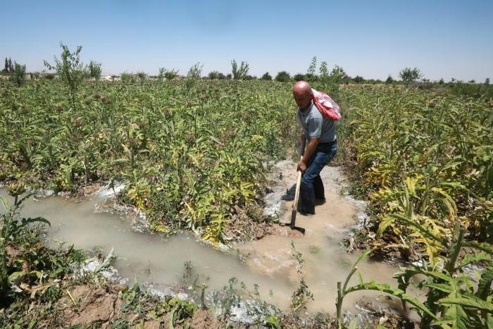 Syrian farmer Radwan Hazaa is counting on ths year's record winter rainfall to provide the irrigation water he needs to bring life back to his farm after long years of war