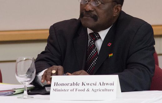 Akufo-Addo Gov’t only good at renaming NDC’s policies – Kwesi Ahwoi