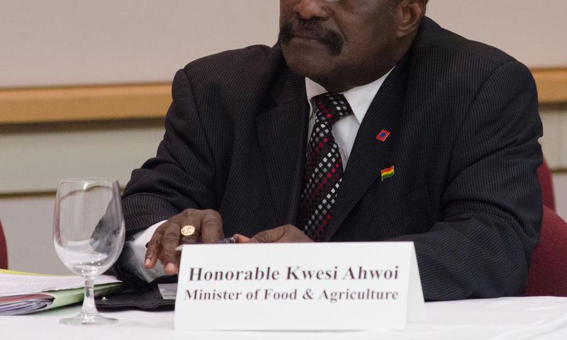 Akufo-Addo Gov’t only good at renaming NDC’s policies – Kwesi Ahwoi