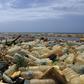 Campaigners say the only long-term solution to the plastic waste crisis is for companies to make less and consumers to use less