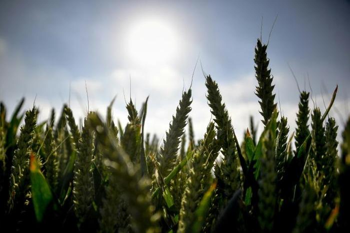 Last month was the hottest June ever recorded with soaring temperatures worldwide capped off by a record-breaking heatwave across Western Europe