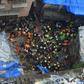 Building collapses in Mumbai are common during the monsoon season