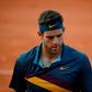 Juan Martin del Potro, still recovering from June knee surgery, is officially out of the US Open tennis championships