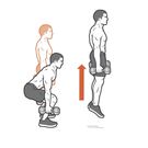 Build Muscle at Home With This Dumbbell Workout