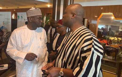 Ibrahim Mahama's Engineers & Planners to mine bauxite in DR Congo