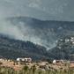 The fire broke out on Tuesday and has destroyed over 1,000 hectares of dense pine forest, according to state agency ANA