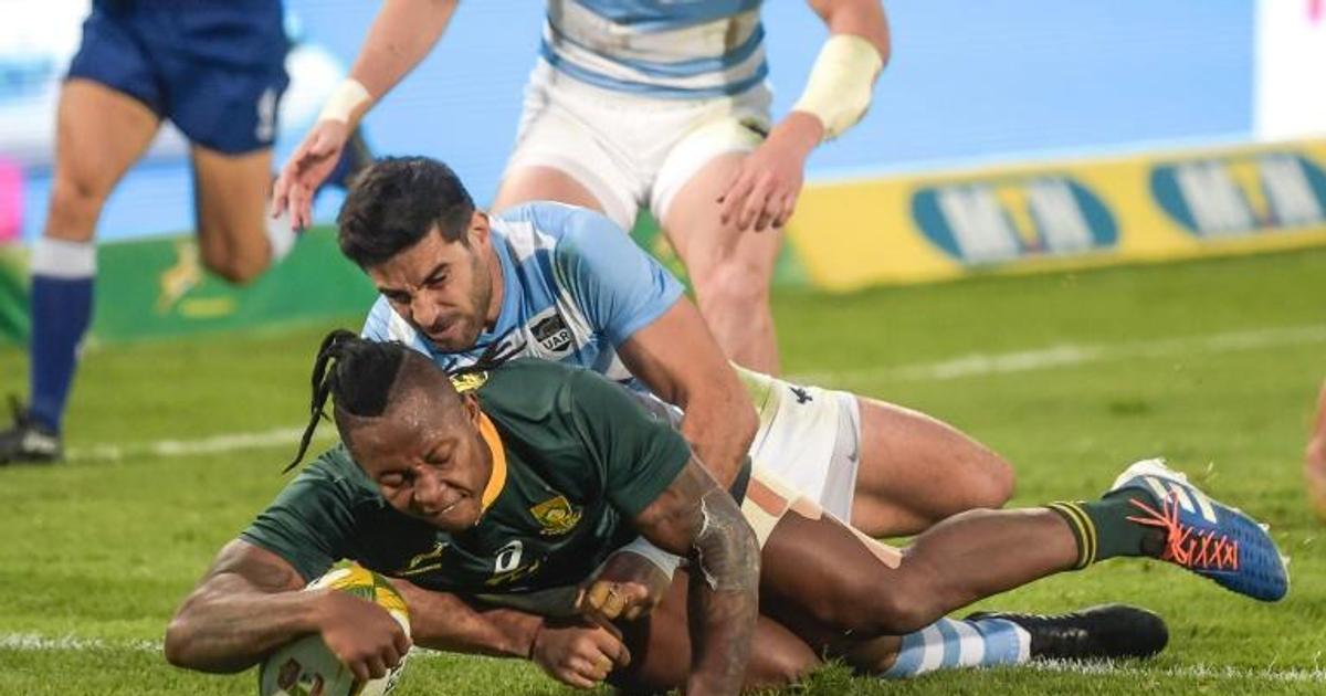 Nkosi double helps Springboks beat Pumas in World Cup warm-up | Pulse Ghana