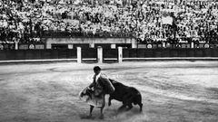 The Gay Jewish Matador from Brooklyn