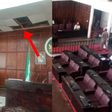 Lawmakers flee as 3 snakes fall from chamber’s ceiling and give them hot chase