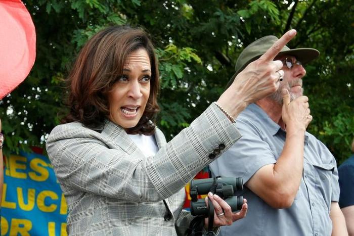 Democratic presidential hopeful Kamala Harris was attacked online by social media users, some of them known for being far-right