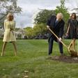 French president Emmanuel Macron will send a replacement oak tree to US president Donald Trump after the original died after being dug up from the White House garden